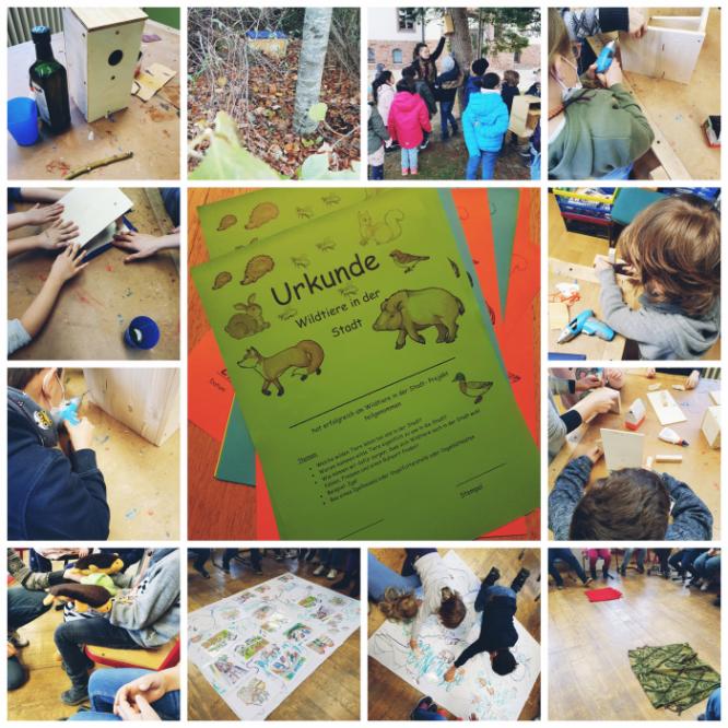 collagemaker_20211203_181116264.jpg