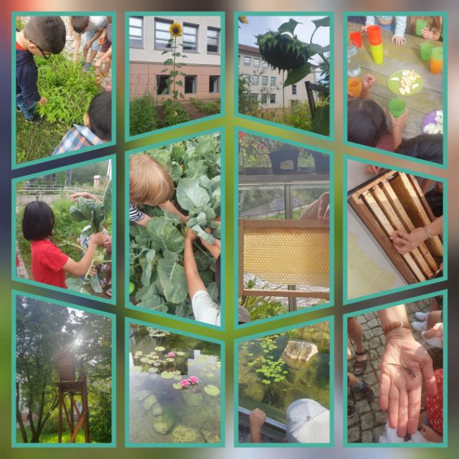 gridart_20230825_161613378.jpg